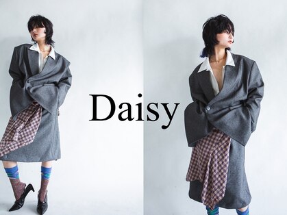 デイジー(Daisy)の写真