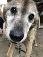 オブハーツ 若葉台店(OF HEARTS) 動物大好き♪動物園に1人で行こうとしたら、止められました…