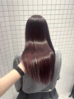 エイド 本店(aid) レッドブラウンカラー