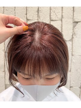 シャンプーボーイ ワインレッド