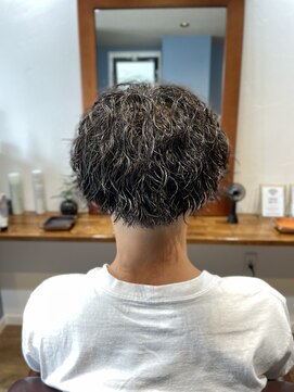 スナッグヘアー(Snughair) ◆Snughair◆フェードツイスパスタイル