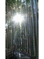 アイフィールカルム(i feel calm) 鎌倉にある竹林のお寺。報国寺です。