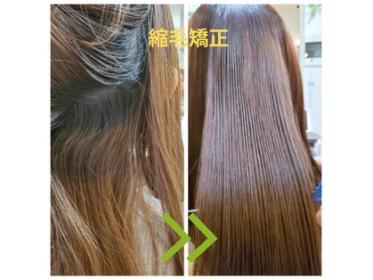 コモレビ(ko.mo.re.bi)の写真