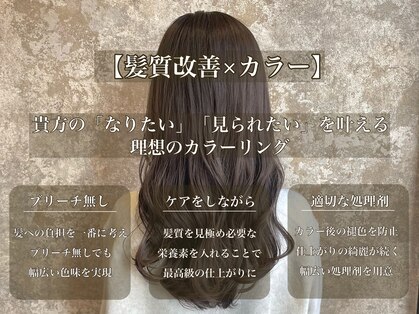 パーセンス(Pursense)の写真
