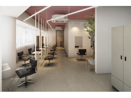 アコロン(acoron.)の写真