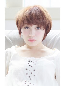 パラオ(Palau) マッシュボブ