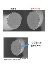 少しマニアックな話、、、