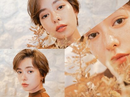 ディア 平塚(diar)の写真