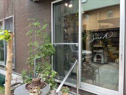 ビサラ(美.Sarah)の写真