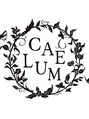 カエルムアヴェダ(CAELUM AVEDA)&nbsp;CAELUM AVEDA