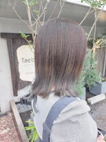 タエビスアリッサム(Taebis Alyssum)&nbsp;レイヤーボブ(大人外ハネボブ、北習志野)