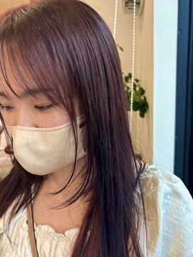 マレ(malet.) ボルドーカラー