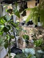 ヘアーラウンジルシェル(HAIR LOUNGE Le ciel)&nbsp;趣味で観葉植物を育てています。おすすめの植物教えてください♪