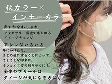 エフ プラス(F+plus)の雰囲気（髪の内側から輝く◎理想のインナーカラーで華やかスタイルへ）