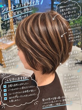 アース 若葉台店(EARTH) 根元の白髪が気になる方へ｜上品な細めハイライト