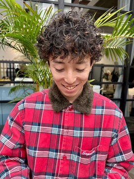 ヴヴ(Bub) men's perm / プードルパーマ　ハイライトカラー