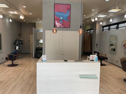 ダンプヘアー(Dump hair)の写真