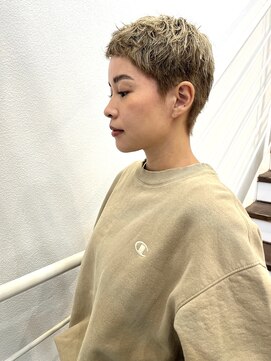 ロジヘア(Logi Hair) 外国人風ハイトーンベリーショート