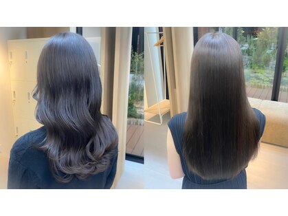 ラミン(LAMIN)の写真