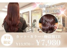 チャチャブラン(cha-cha Blanc)