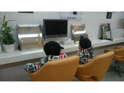 ゼンアンティ(ZEN Antiy)の写真