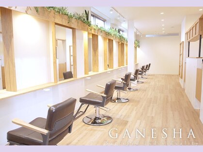 ティーノ(TINO by ganesha)の写真