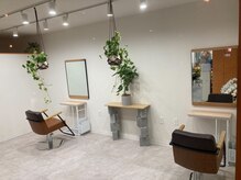アイビー(IVY)