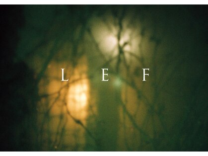 レフ(LEF)の写真