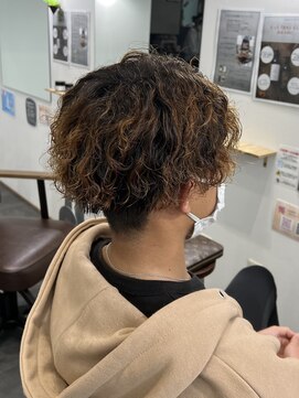 エルパライソ リフォ(Elparaiso Reff) ツイストスパイラル