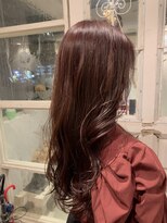 リリー(Lily)&nbsp;レッドバイオレット