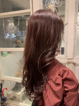 リリー(Lily) レッドバイオレット