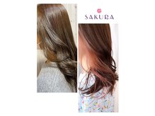 サクラ(SAKURA)