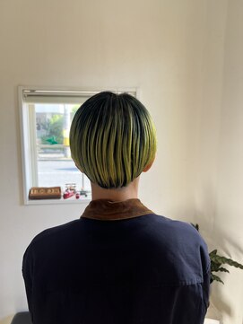 マループ(Maloop) ペンギンカラー