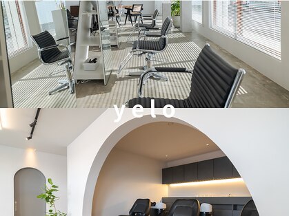 イエロ(yelo)の写真