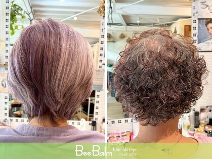 ビーバーム(Bee Balm)の写真