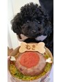 ヘームル(HEMEL) 愛犬ちゃんが私の癒しです。