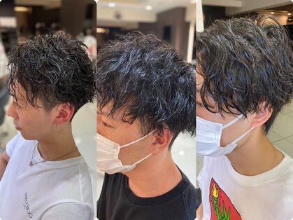 タリィランド(talleyrand)の写真