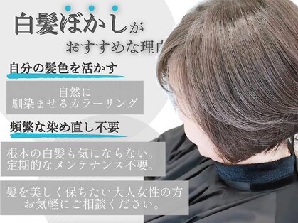 ダイス 岡本 摂津本山(Dice)の写真