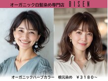 美染 丸山店(Bisen)