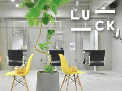 ラック(LUCK)の写真