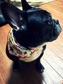 ギフト(gift) 愛犬のフレンチブルドッグです♪