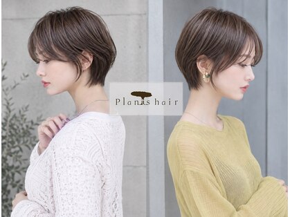 プランツヘアーの写真