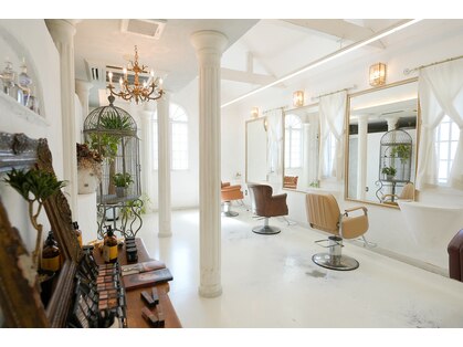 ピコラマノ(pico la mano)の写真