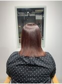 冬のレッドブラウンカラー