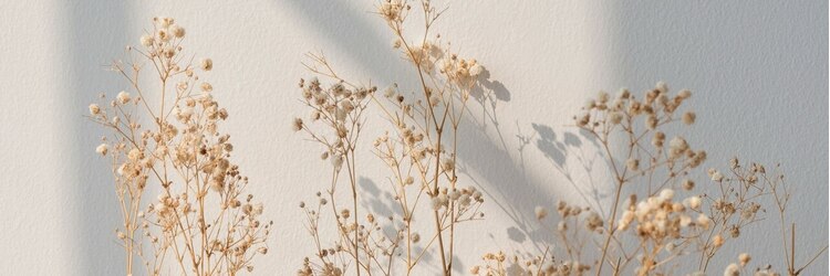 リトル リンネ 栄(little×RINNE)のサロンヘッダー