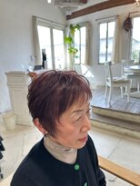 モナミ(Mon-ami) 軟毛、細毛におススメショート