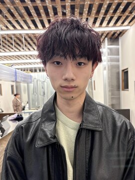 オルタナティブ(alternative) ディープレッド