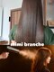 ミミ ブランシェ(Mimi Branche)の写真/【バリエーション豊富】パサつき・広がり…お悩みに合わせて“トリートメント”をチョイス!理想の美髪へ☆