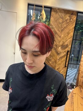 ジェミニ(gemini) red!