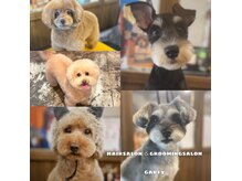 ガーフィー(garfy)の雰囲気(DOGサロン併設グルーミング大型犬まで可能<江坂・トリミング>)